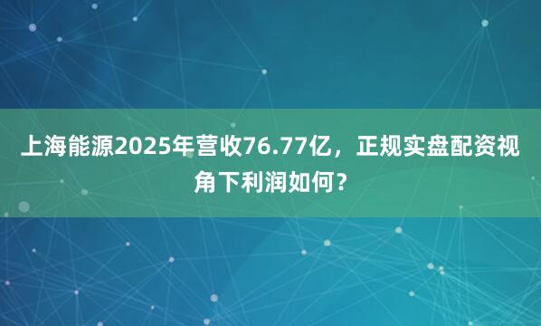 上海能源2025年营收76.77亿，<a href=