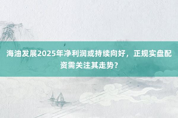 海油发展2025年净利润或持续向好，正规实盘配资需关注其走势？