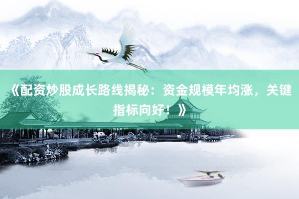《配资炒股成长路线揭秘：资金规模年均涨，关键指标向好！》