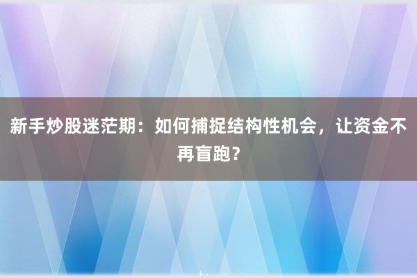 新手炒股迷茫期:如何捕捉结构性机会,让资金不再盲跑?