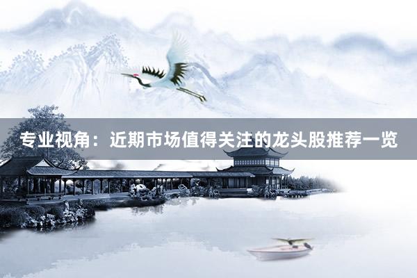 专业视角：近期市场值得关注的龙头股推荐一览