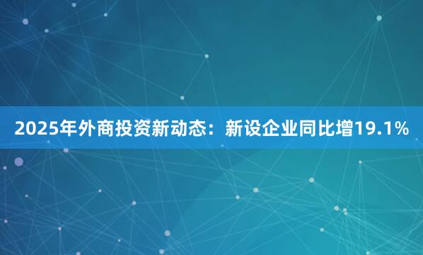 2025年外商投资新动态：新设企业同比增19.1%