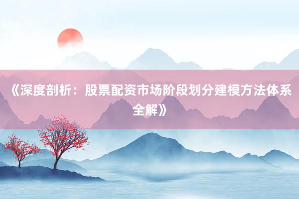 《深度剖析：股票配资市场阶段划分建模方法体系全解》