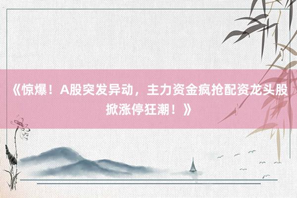 《惊爆！A股突发异动，主力资金疯抢配资龙头股掀涨停狂潮！》