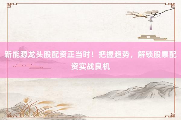 新能源龙头股配资正当时！把握趋势，解锁股票配资实战良机