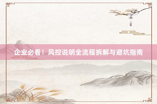 企业必看！风控说明全流程拆解与避坑指南