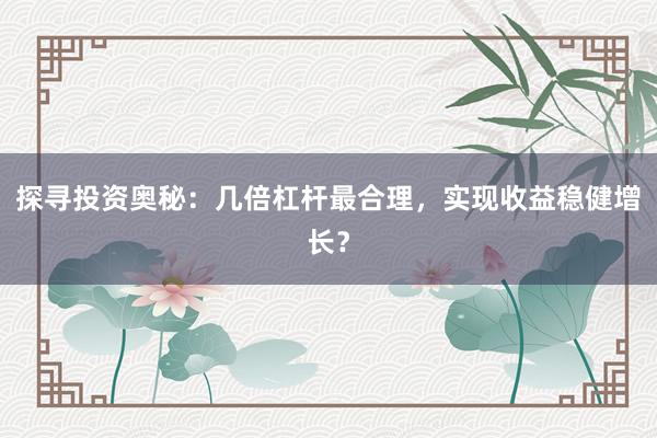 探寻投资奥秘：几倍杠杆最合理，实现收益稳健增长？