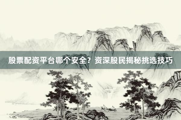 股票配资平台哪个安全？资深股民揭秘挑选技巧