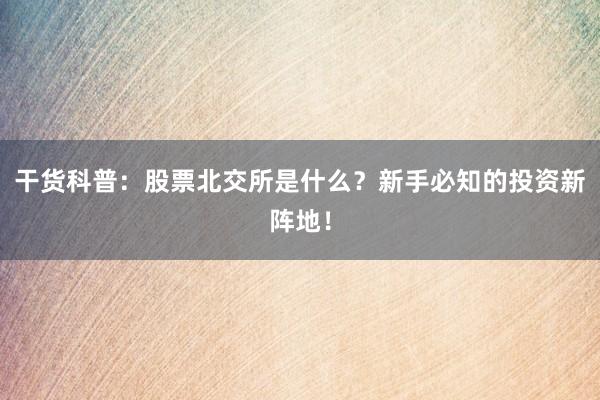 干货科普：股票北交所是什么？新手必知的投资新阵地！