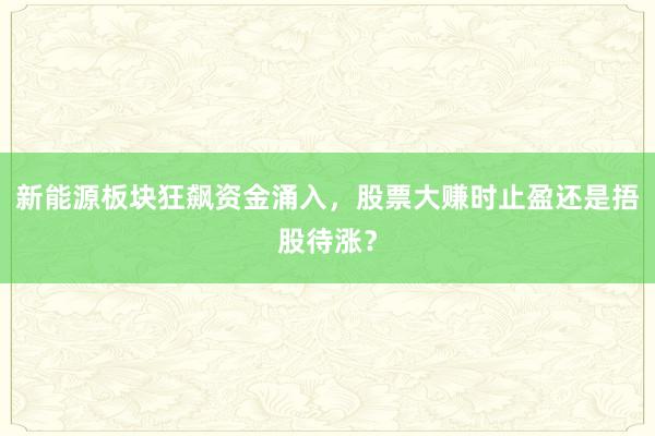 新能源板块狂飙资金涌入,股票大赚时止盈还是捂股待涨?